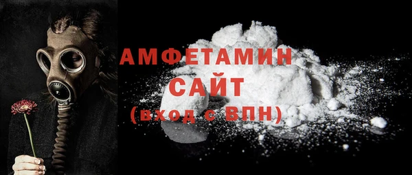 индика Гусиноозёрск
