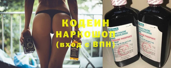 индика Гусиноозёрск