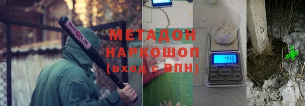 индика Гусиноозёрск