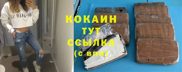 СК Гусь-Хрустальный