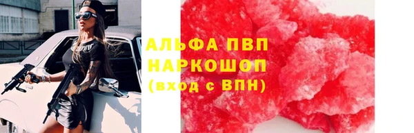 СК Гусь-Хрустальный