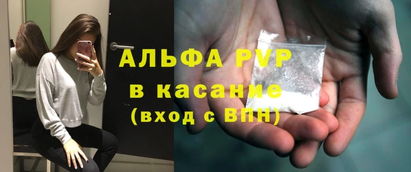 круглые Гусев