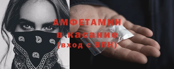 индика Гусиноозёрск