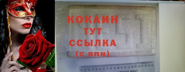 индика Гусиноозёрск