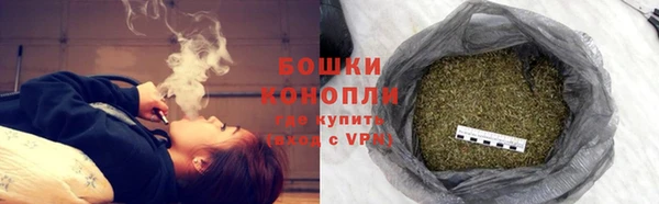 СК Гусь-Хрустальный