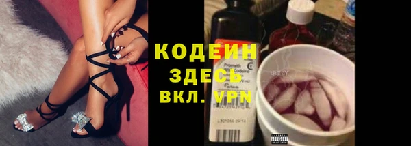 круглые Гусев