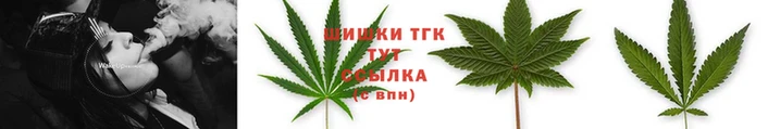 круглые Гусев