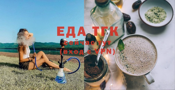 индика Гусиноозёрск