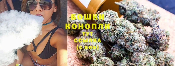 круглые Гусев