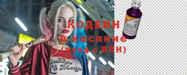 индика Гусиноозёрск
