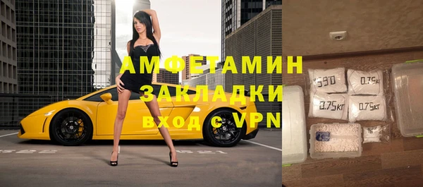 индика Гусиноозёрск