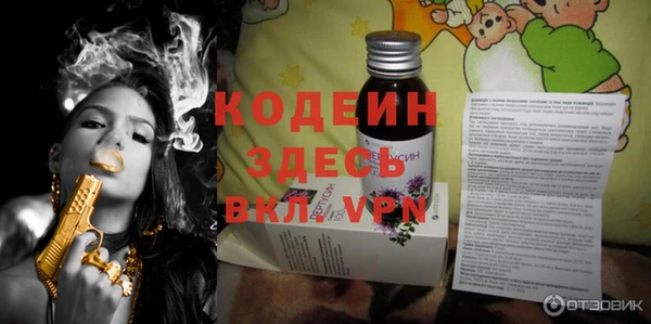 круглые Гусев