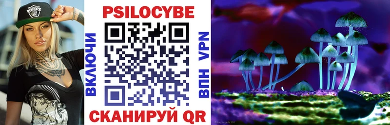 что такое наркотик  Егорьевск  Псилоцибиновые грибы Magic Shrooms 
