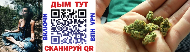 Канабис THC 21%  omg как зайти  Егорьевск 
